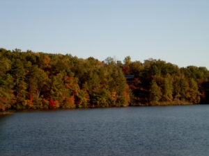 1849860814_d4119b58d5_b