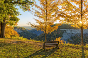 AdobeStock_95015790-1600x1600 (1)