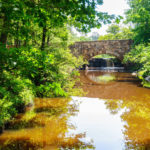 AdobeStock_101139780-1600x1600