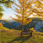 AdobeStock_95015790-1600x1600 (1)